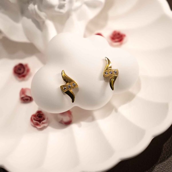 Earrings 01